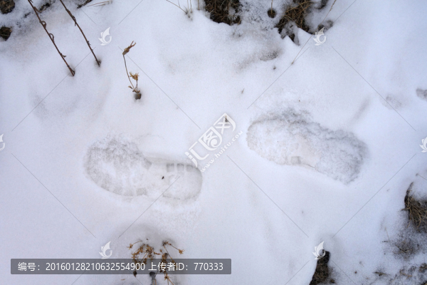 雪地,腳印