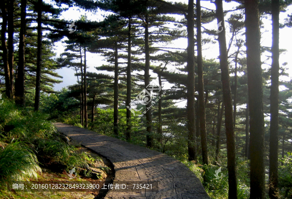 山間小路