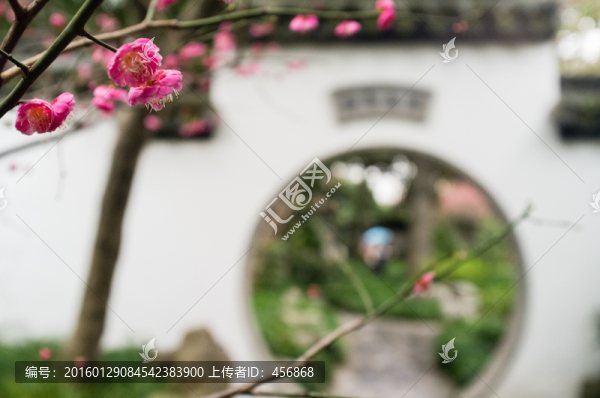 園林梅花開(kāi)