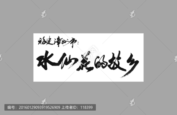 福建漳州市水仙花的故鄉(xiāng)