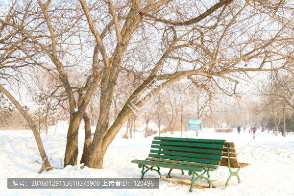 冬日公園長(zhǎng)椅