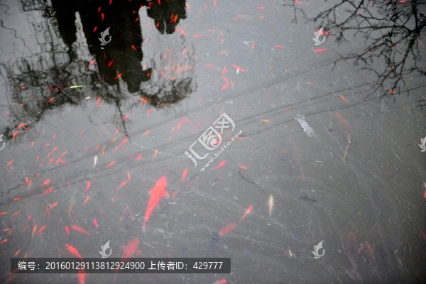 魚塘