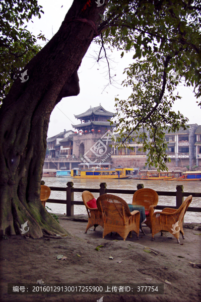 黃龍溪古榕樹(shù)