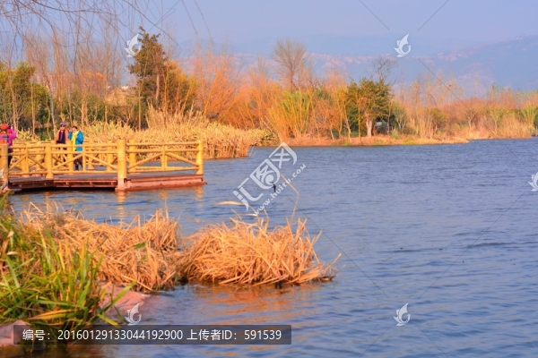 西昌煙雨露洲濕地
