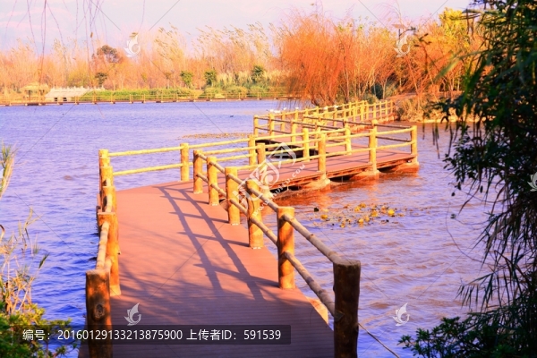 西昌煙雨露洲濕地