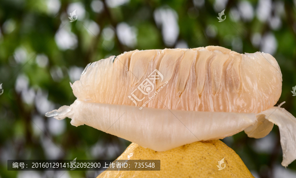 柚子,水果,實物,攝影