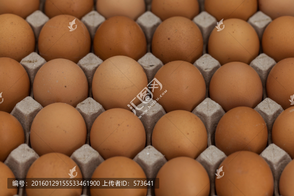 雞蛋