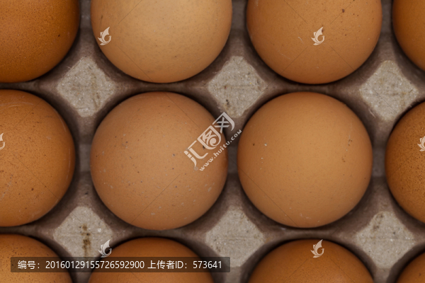 雞蛋