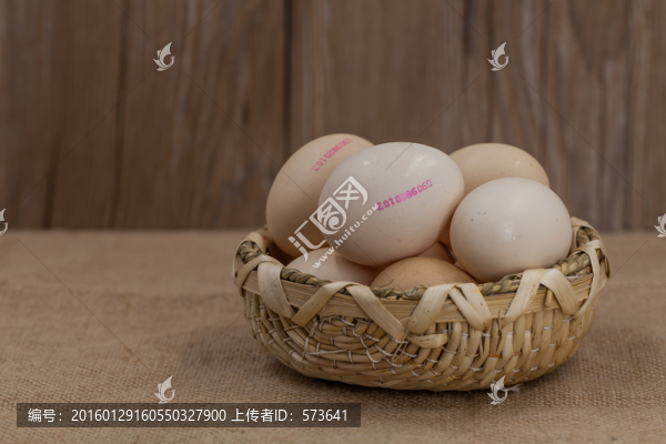 編碼蛋