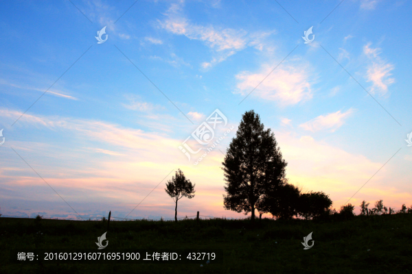清晨朝霞一棵樹