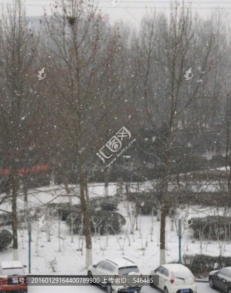 落雪