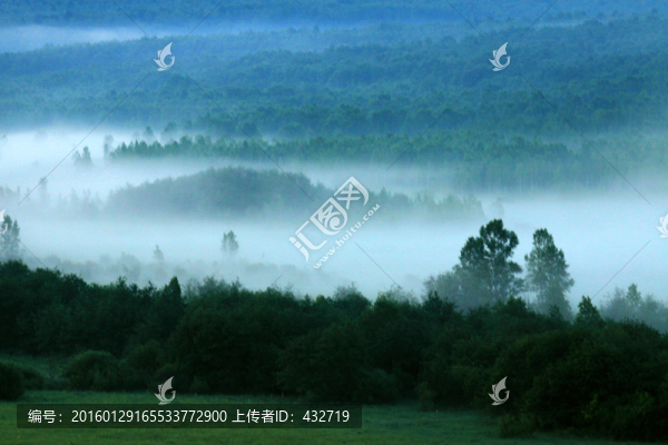 夏季晨霧森林