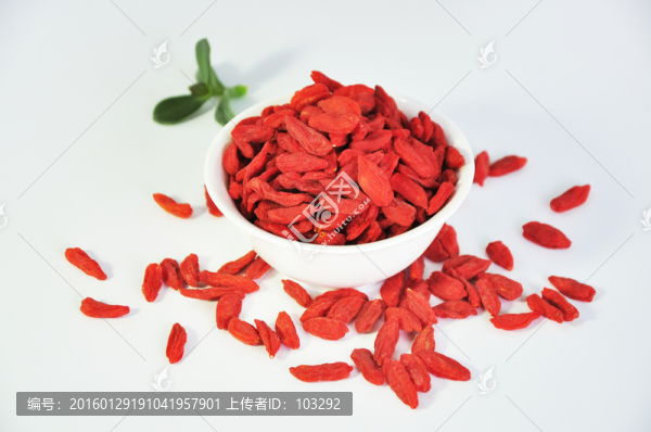 枸杞