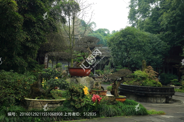 盆景園