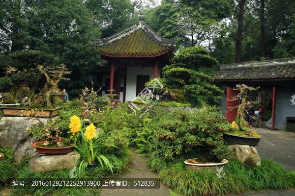 盆景園