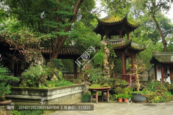 盆景園