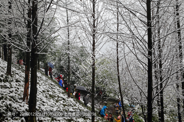 冰天雪地