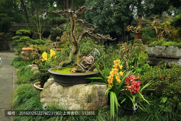 盆景園
