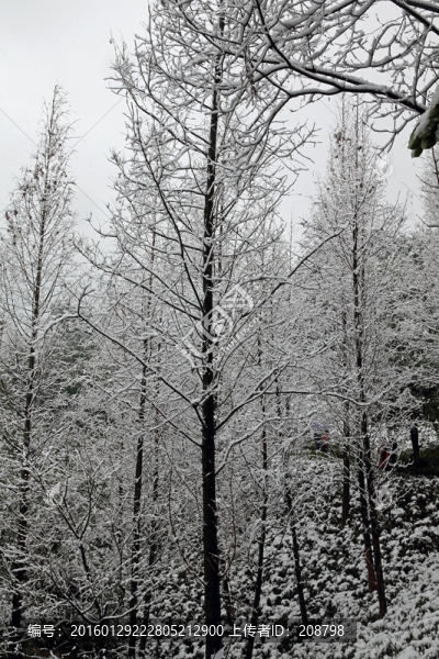 冰雪