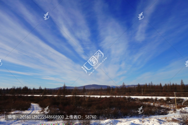 山野樹林冬景