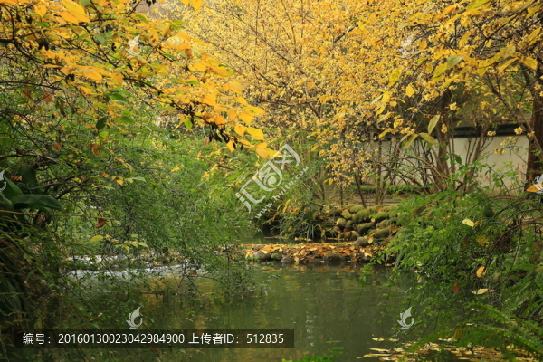 梅花園