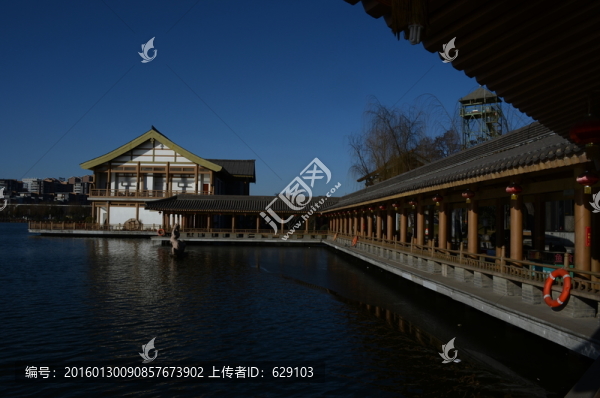 曲江新景