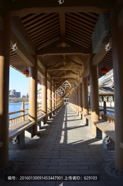 曲江新景