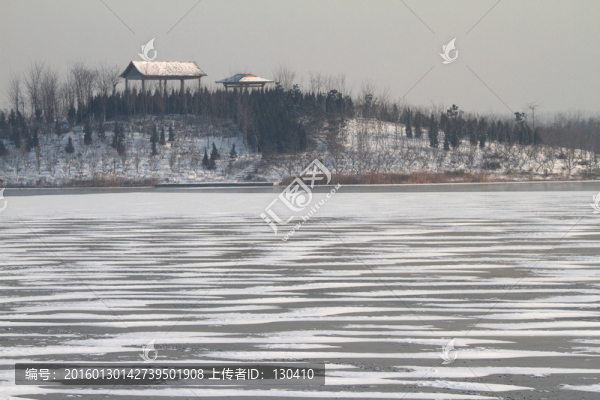 濕地雪景