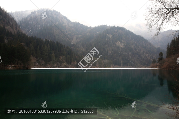 箭竹海
