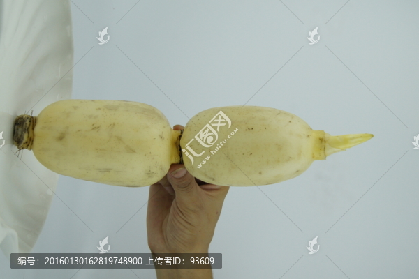蓮藕