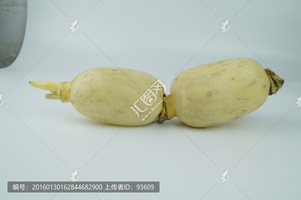 蓮藕