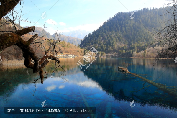 五花海