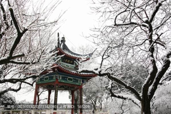 梅園風(fēng)景