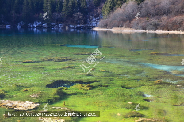 五花海