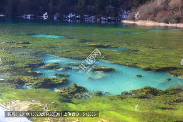 五花海