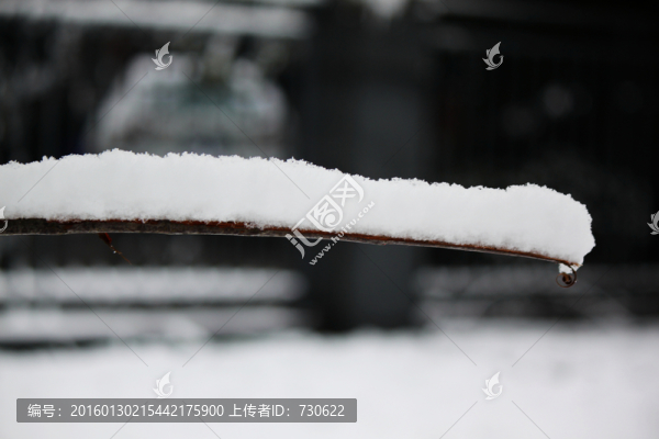 雪景