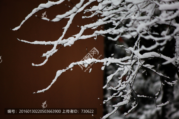 雪景