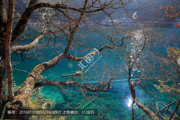 鏡海