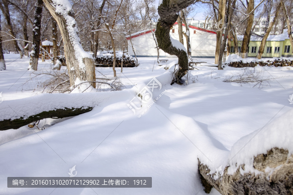 樹林