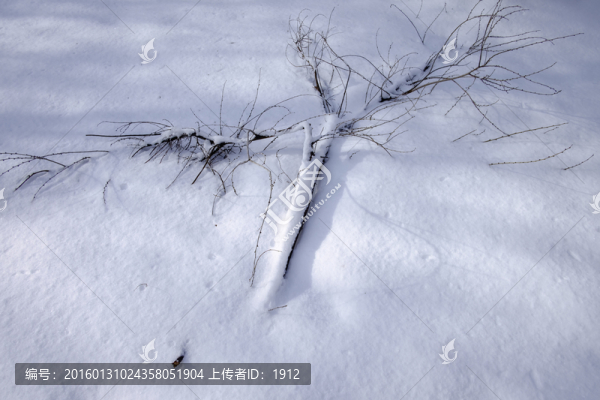 冬雪