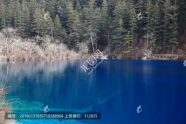 犀牛海
