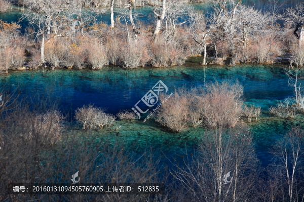 樹正群海