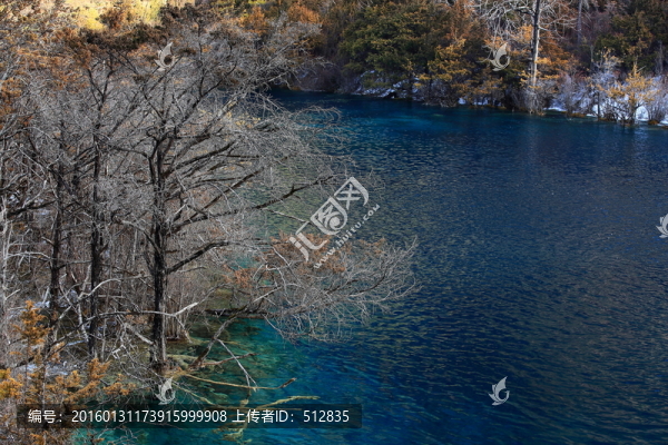 樹正群海