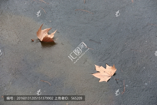 池塘結(jié)冰