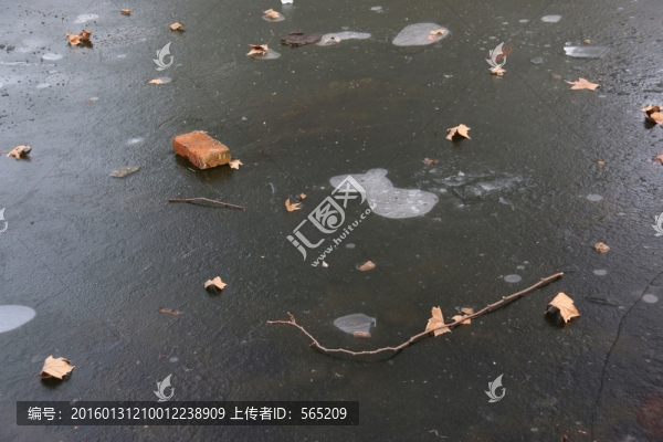 池塘結(jié)冰