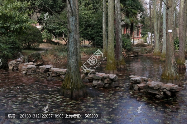 池塘結(jié)冰,石頭路