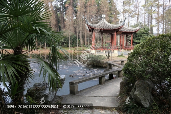 植物園風(fēng)景