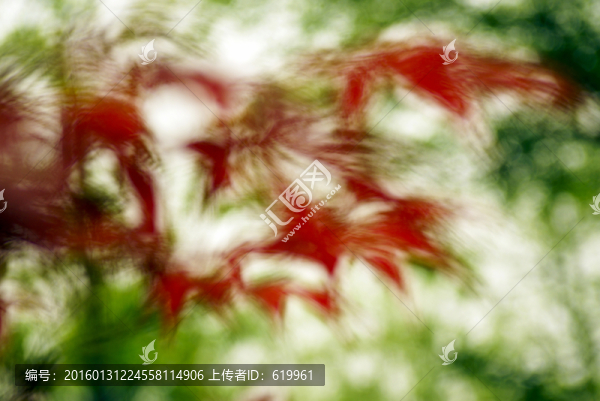 虛化的背景