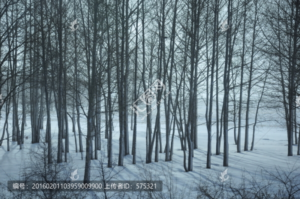 冰天雪地