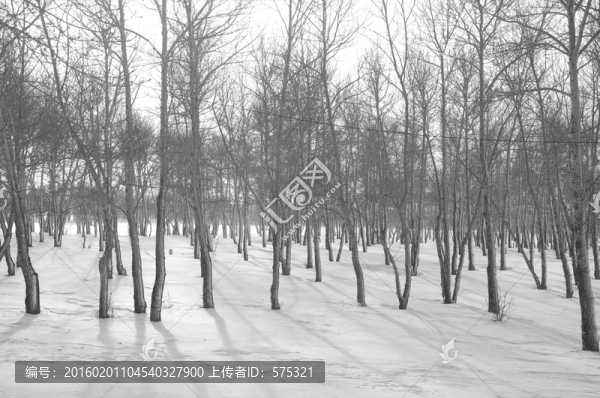 冰天雪地